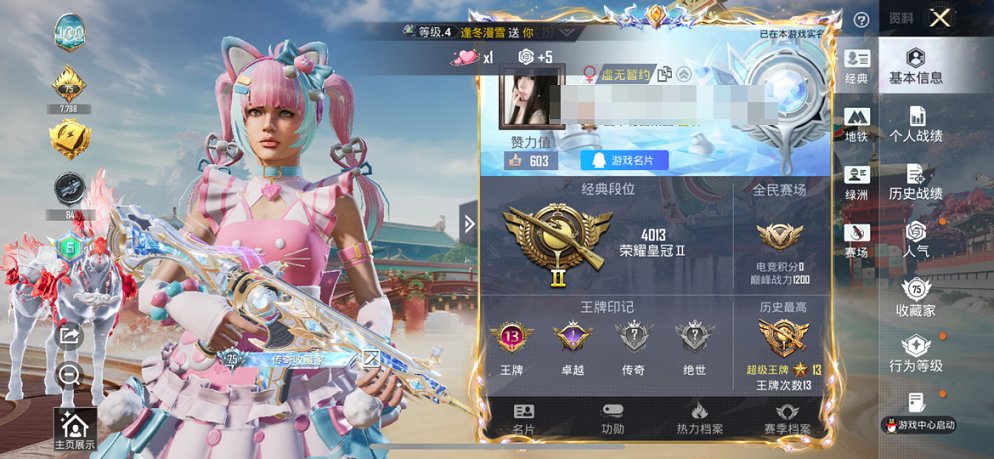 HPCMW4115462和平精英账号详情图12