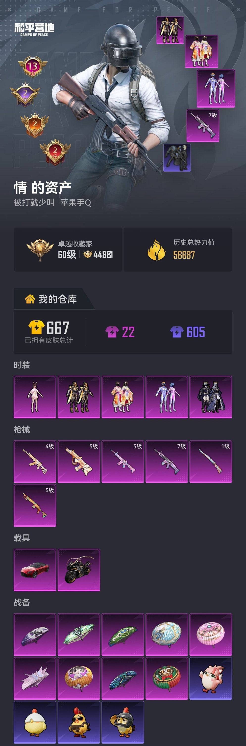 HPCMW4137182和平精英账号详情图23 HPCMW4137182和平精英账号详情图23