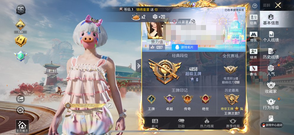 HPCMW4137111和平精英账号详情图12