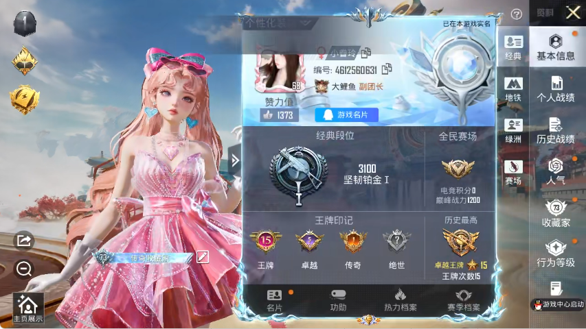 HPLX4152204和平精英账号详情图2