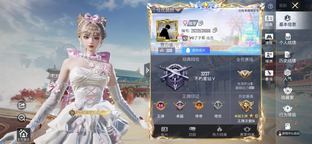 HPLX4157954和平精英账号详情图3