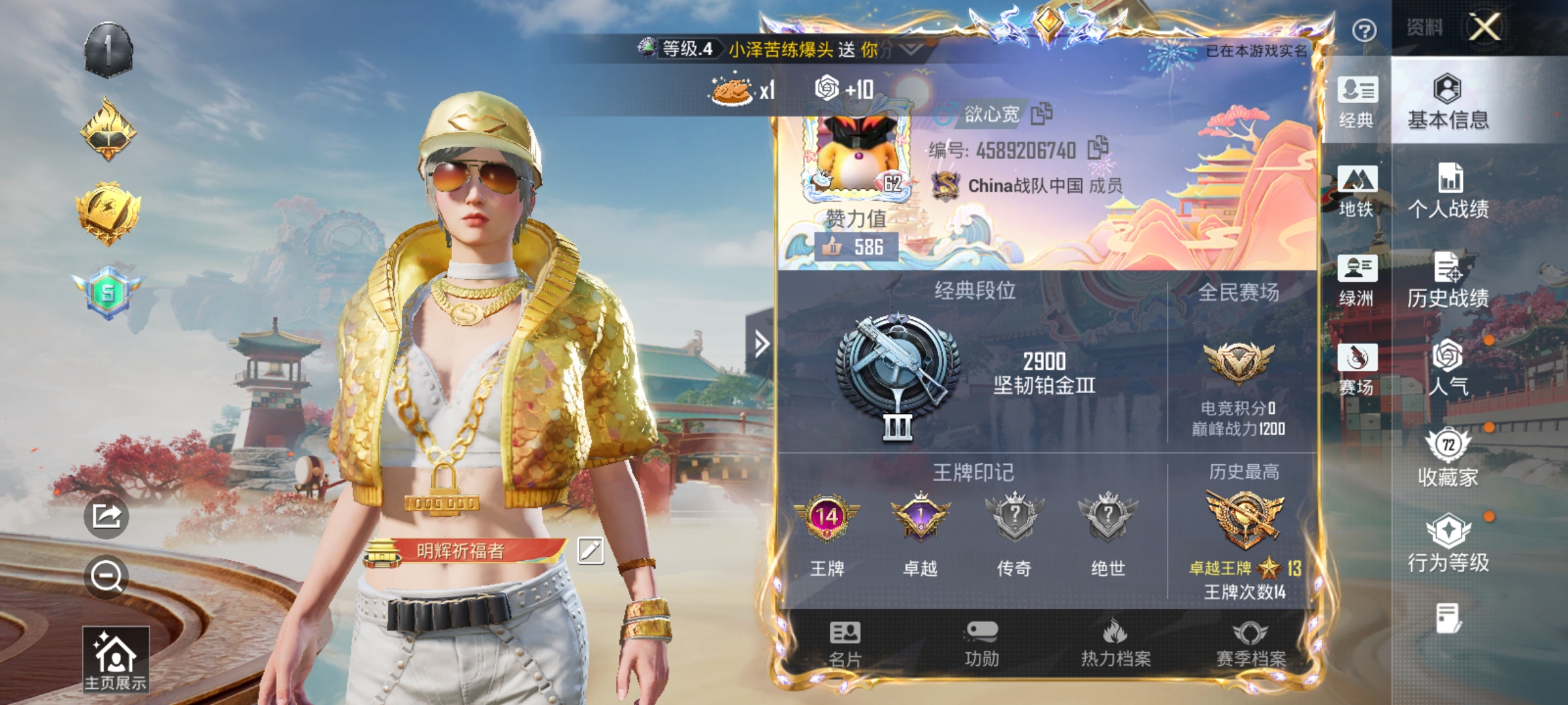 HPLX4166202和平精英账号详情图2