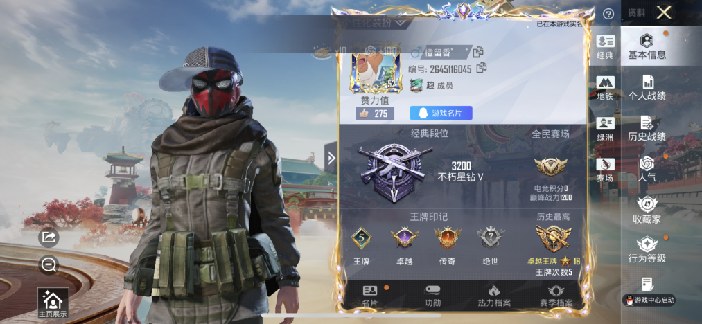 HPLX4166159和平精英账号详情图2