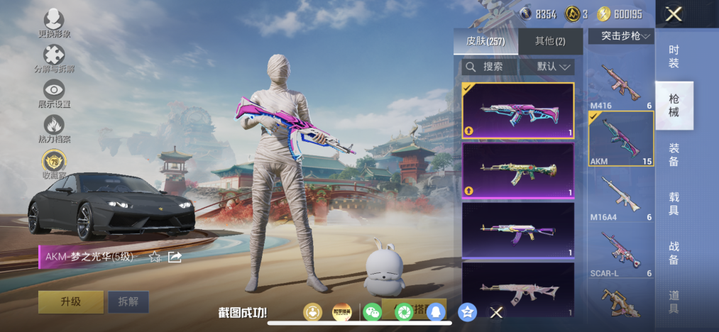 HPLX4166199和平精英账号详情图18