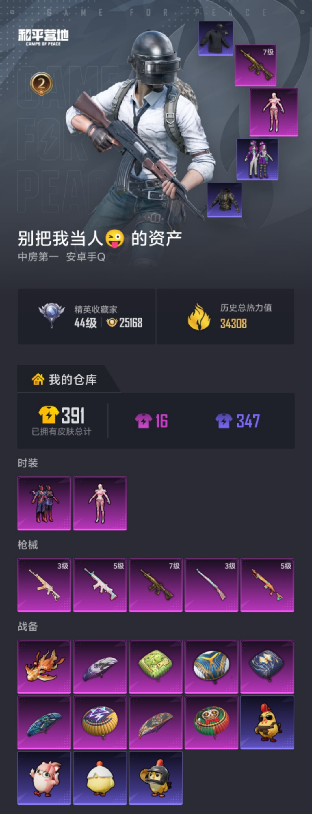 HPLX4172717和平精英账号详情图16 HPLX4172717和平精英账号详情图16