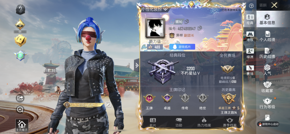 HPLX4174444和平精英账号详情图2