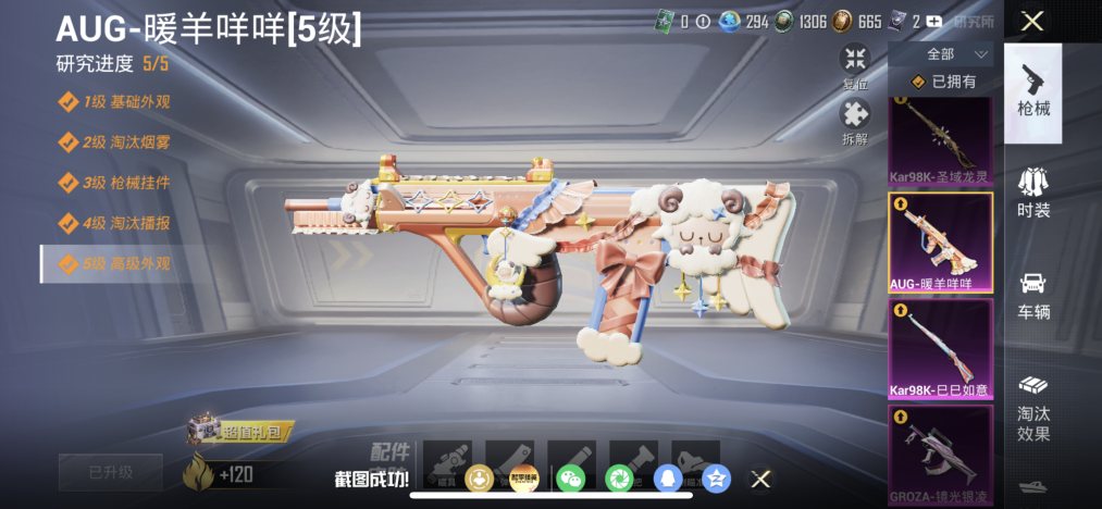 HPLX4177989和平精英账号详情图4