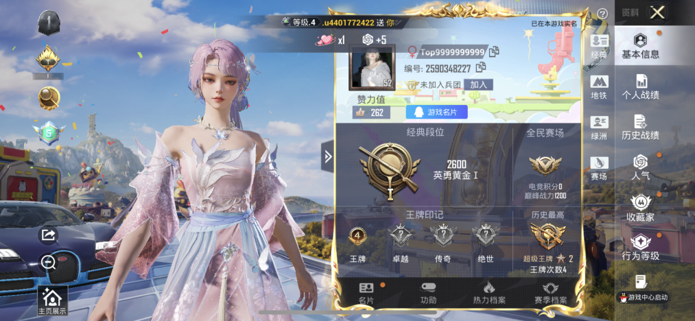 HPCMW4212275和平精英账号详情图2