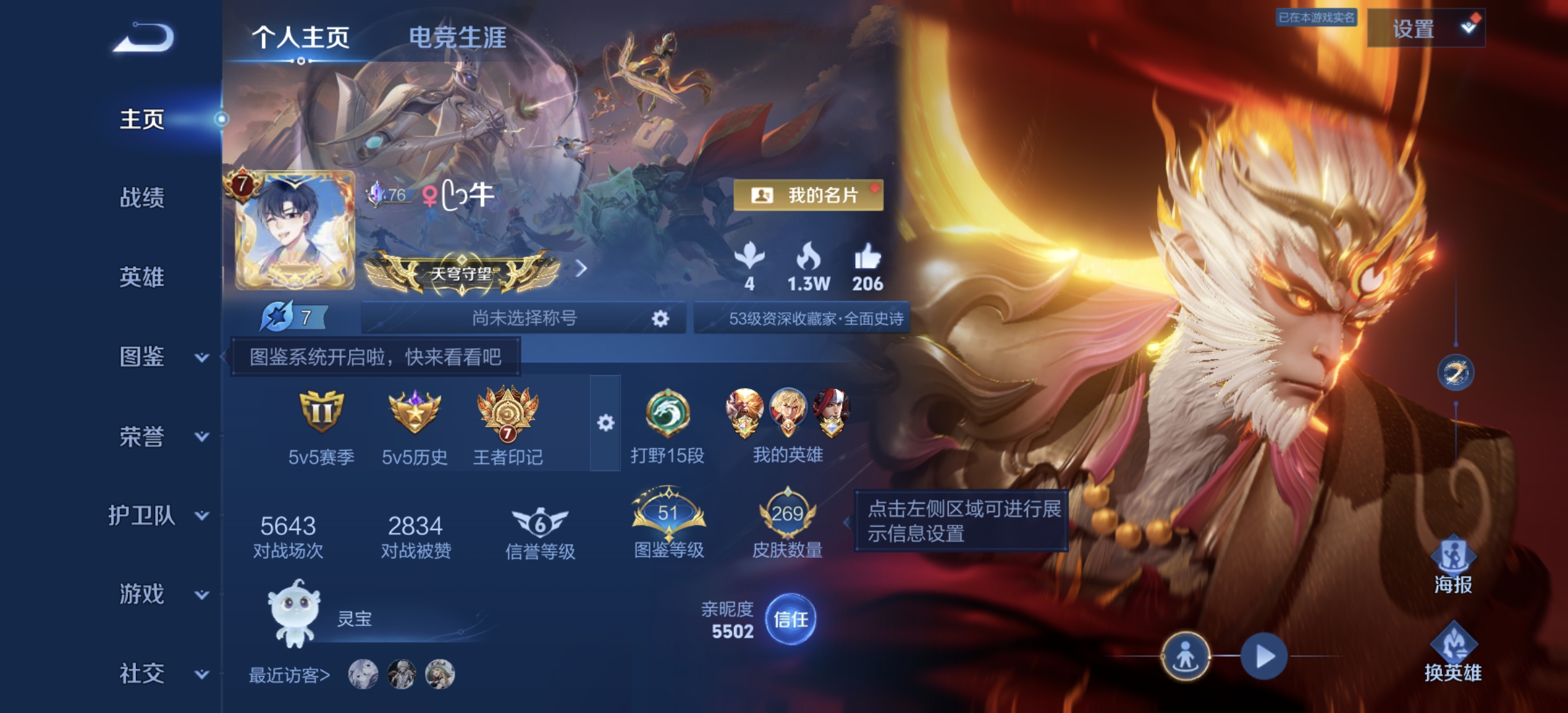 大图