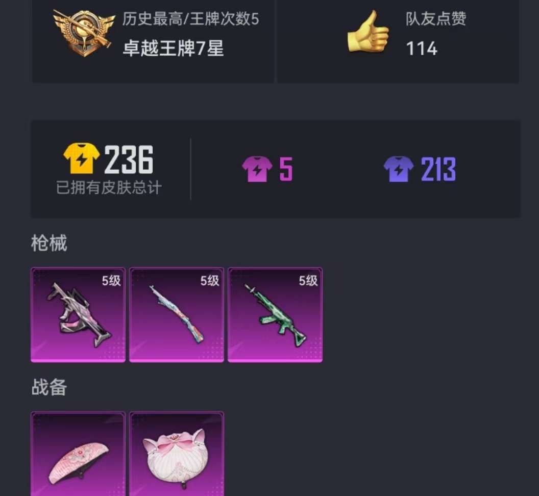 HPCMW3297611和平精英账号详情图17 HPCMW3297611和平精英账号详情图17