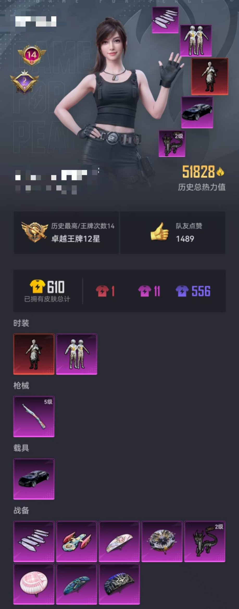 HPQM3162612和平精英账号详情图21