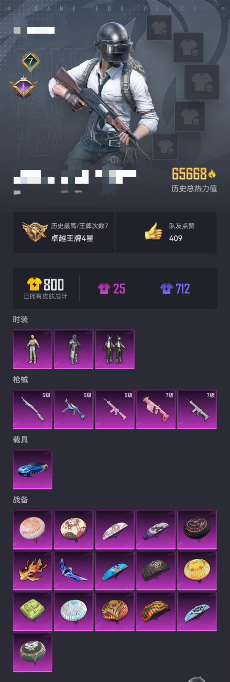 HPCMW3303878和平精英账号详情图20 HPCMW3303878和平精英账号详情图20