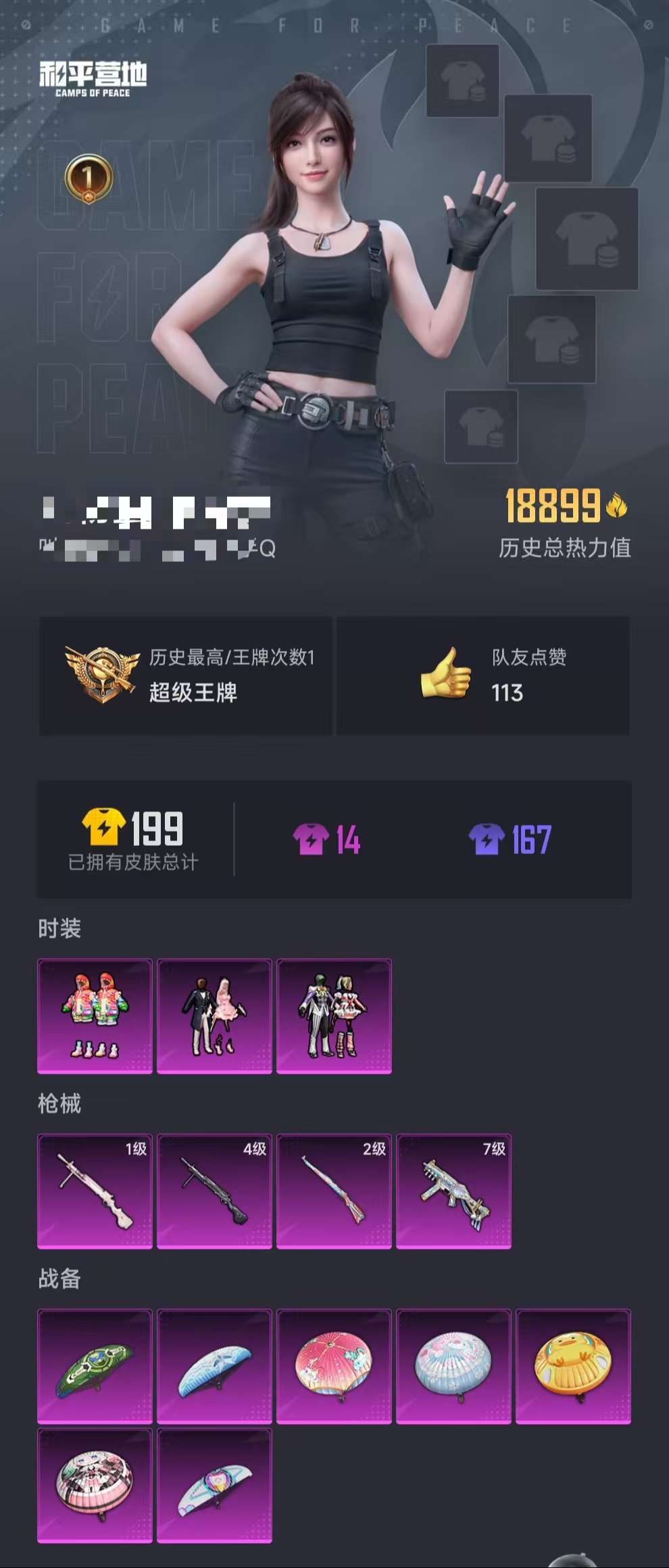 HPCMW3320293和平精英账号详情图14 HPCMW3320293和平精英账号详情图14