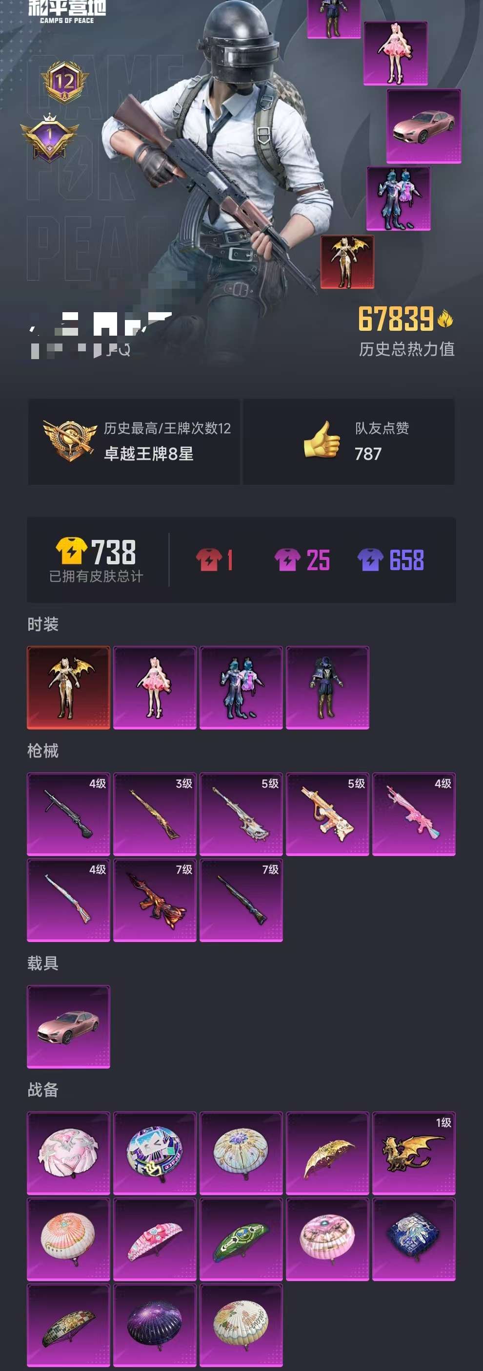 HPCMW3320276和平精英账号详情图21 HPCMW3320276和平精英账号详情图21