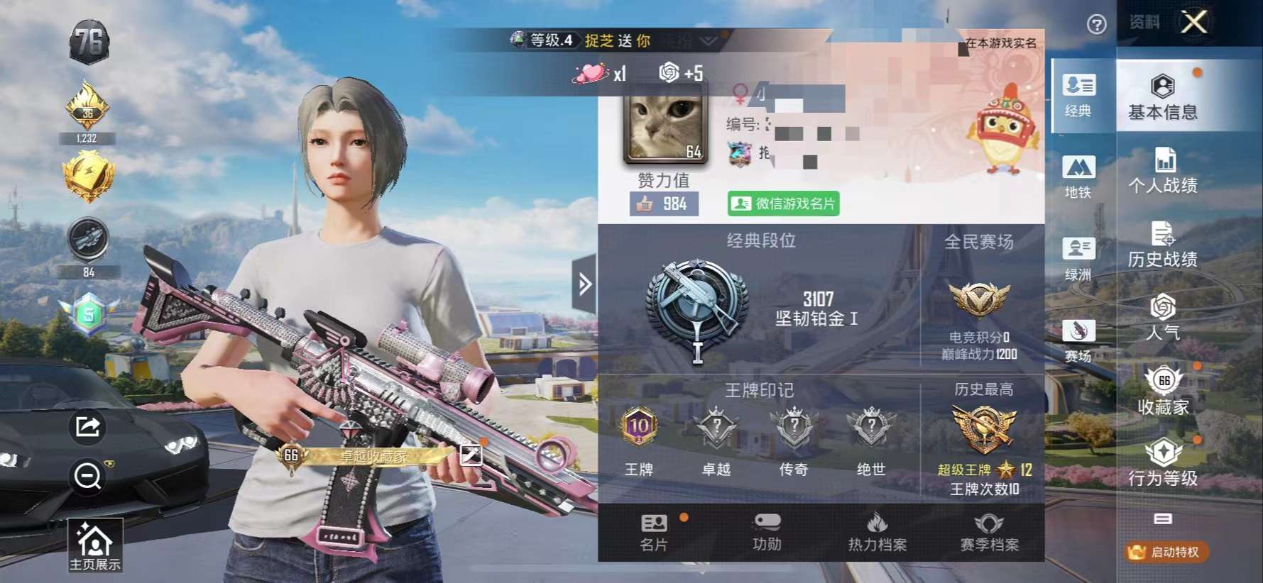 HPCMW3333189和平精英账号详情图2
