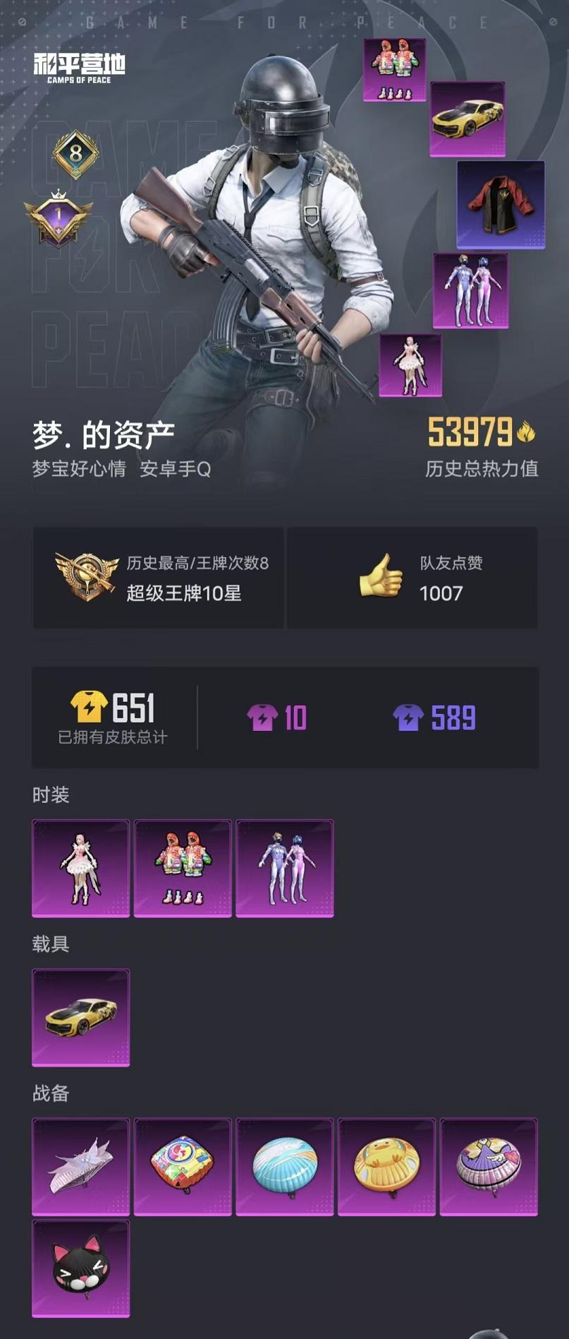 HPCMW3325593和平精英账号详情图14 HPCMW3325593和平精英账号详情图14