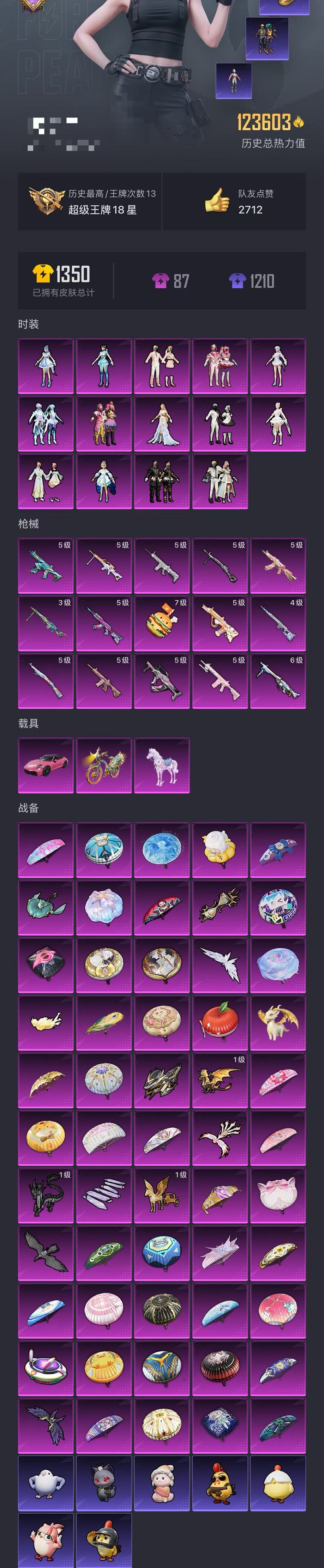 HPCMW3419619和平精英账号详情图40 HPCMW3419619和平精英账号详情图40