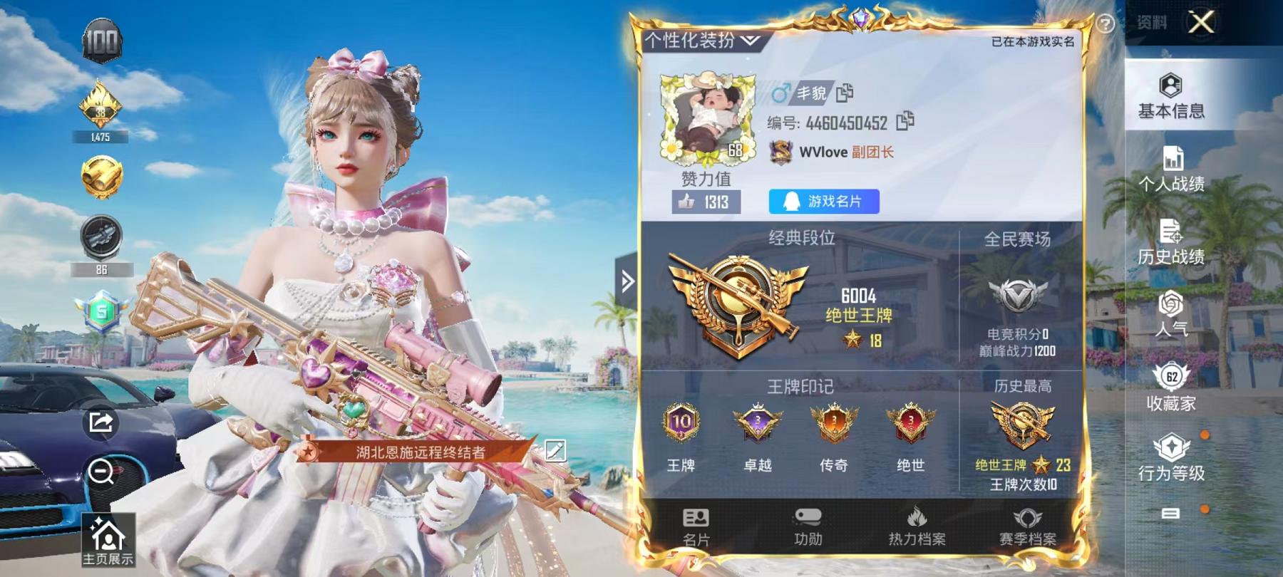 和平精英账号安卓QQ4载具-112套装-176枪皮-可二次【18粉装11特效枪4载具猪脸妹洛天依】 安卓Q区-64937