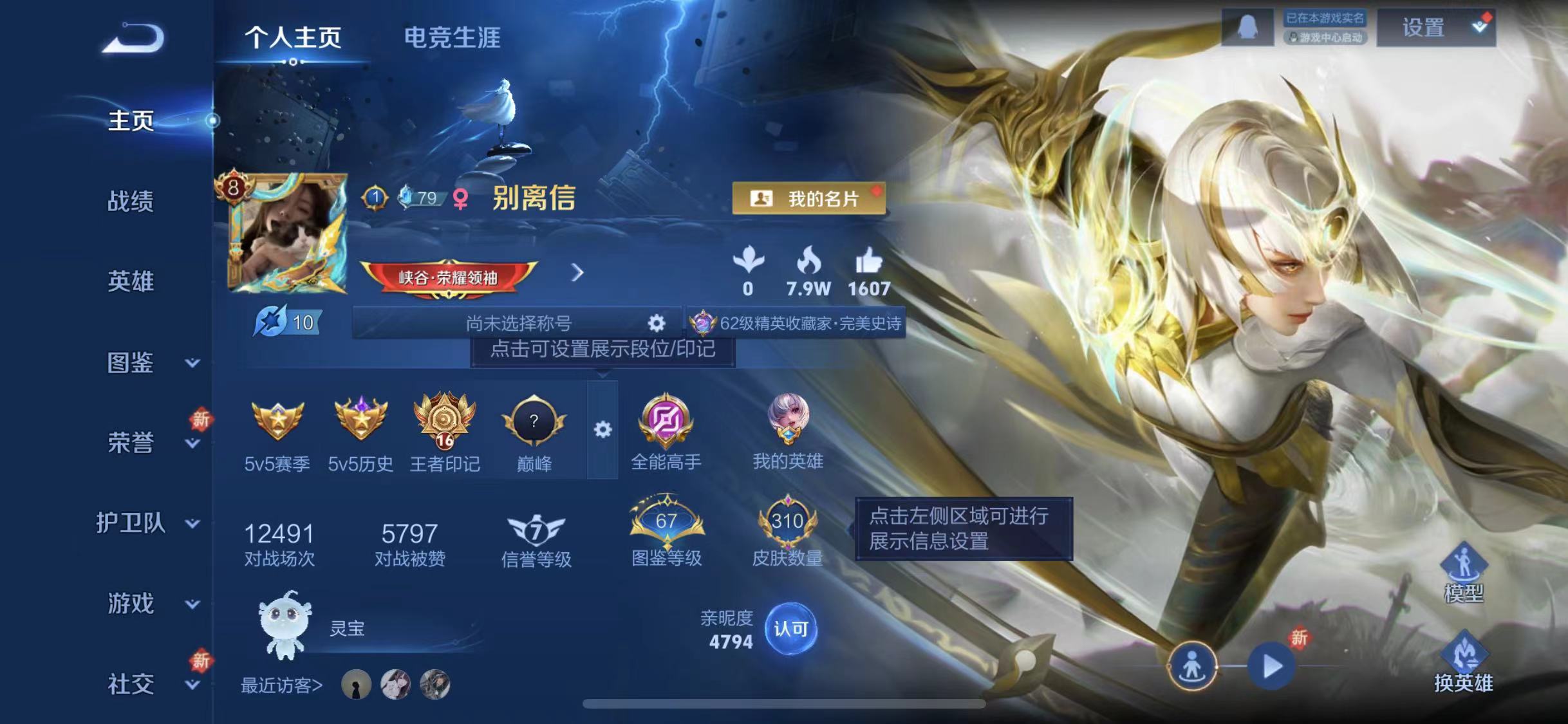 WZCMW487487王者荣耀账号详情图2