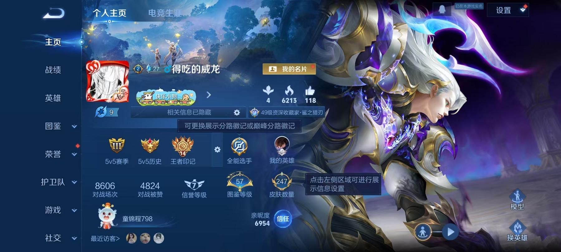 WZCMW4168005王者荣耀账号详情图2