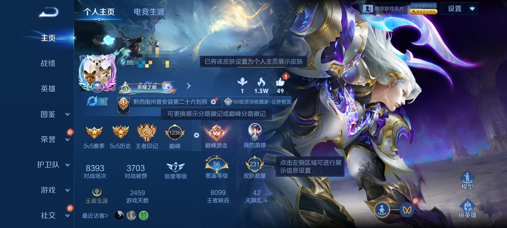 王者荣耀账号安卓VX125英雄-231皮肤-【231皮肤2典藏1星元18传说】安卓WX-125英雄【2水晶】银白咏叹调 