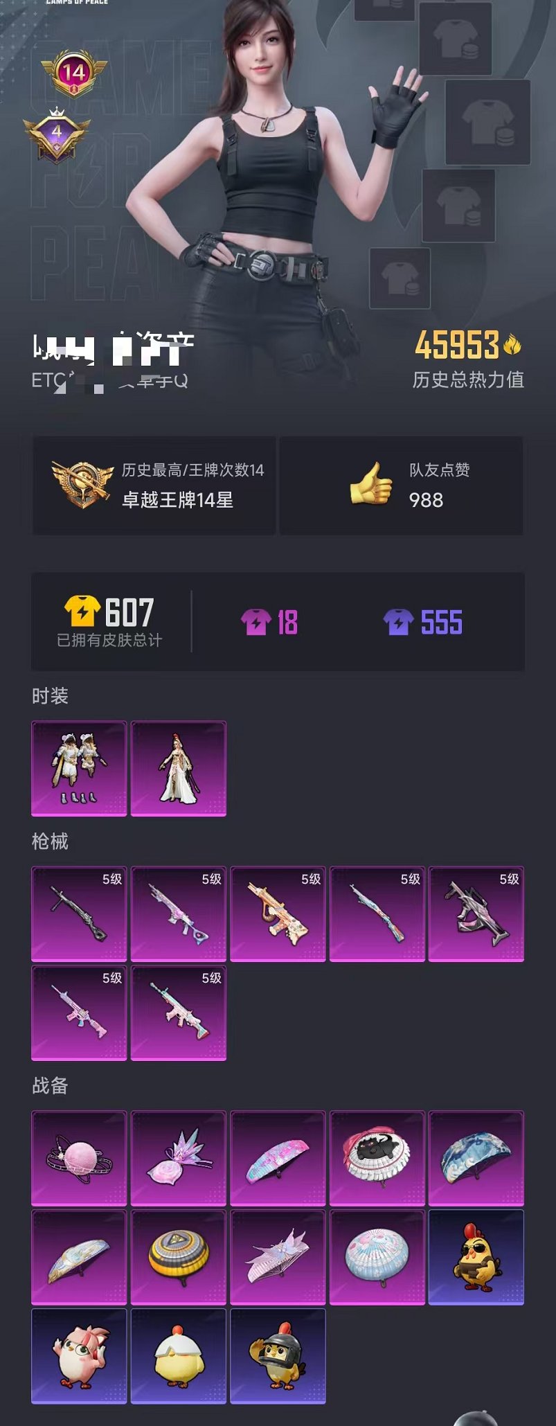 HPCMW3451963和平精英账号详情图23 HPCMW3451963和平精英账号详情图23