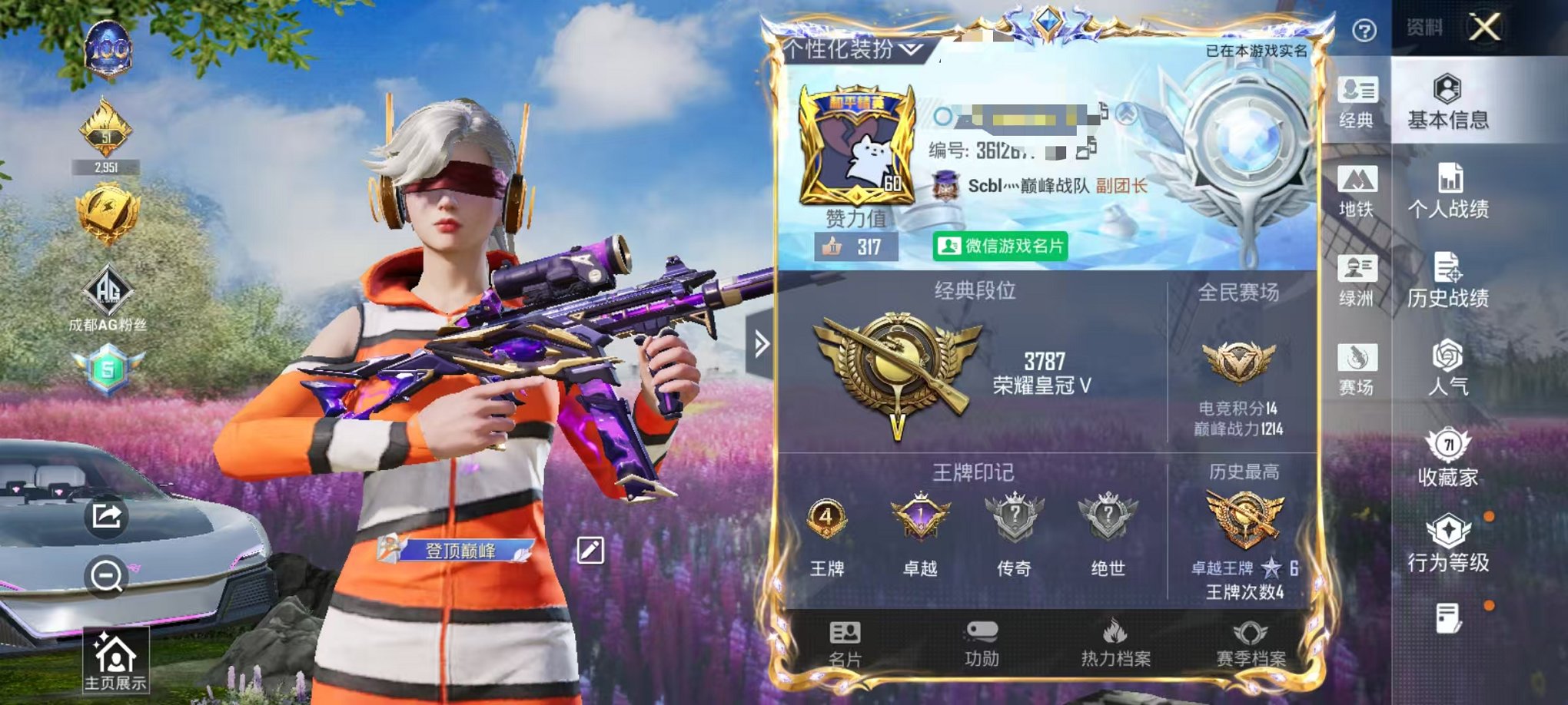 和平精英账号安卓微信3载具-133套装-218枪皮-【9粉装10特效枪3载具】 安卓V区-78451热力值-4印记-13