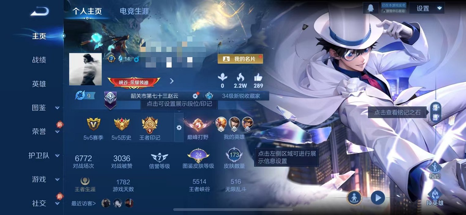 WZCMW498975王者荣耀账号详情图2