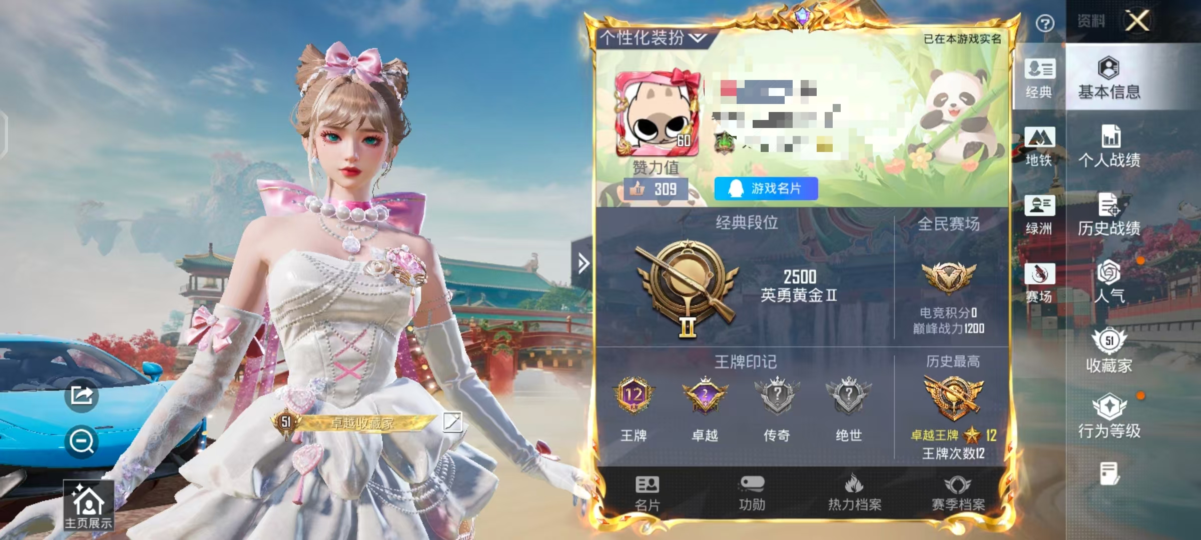 HPCMW461249和平精英账号详情图2