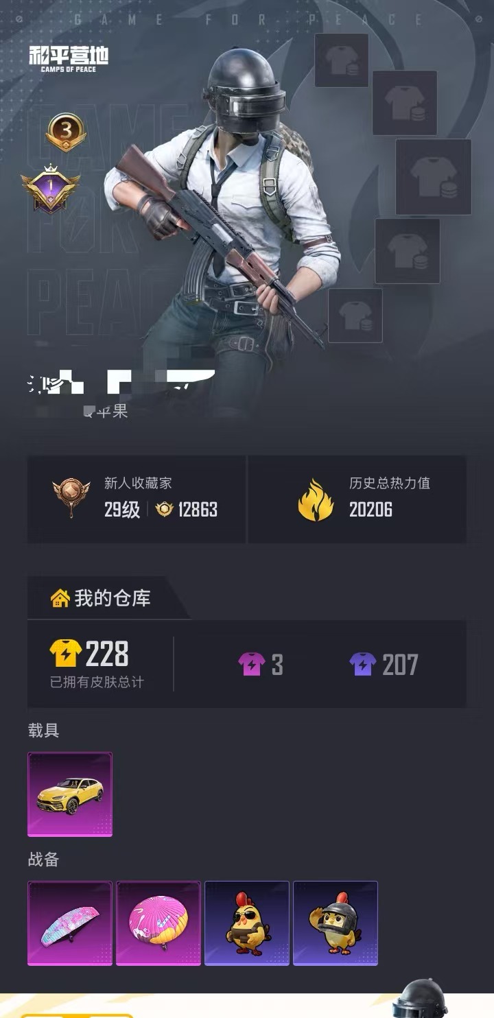 HPCMW470934和平精英账号详情图20