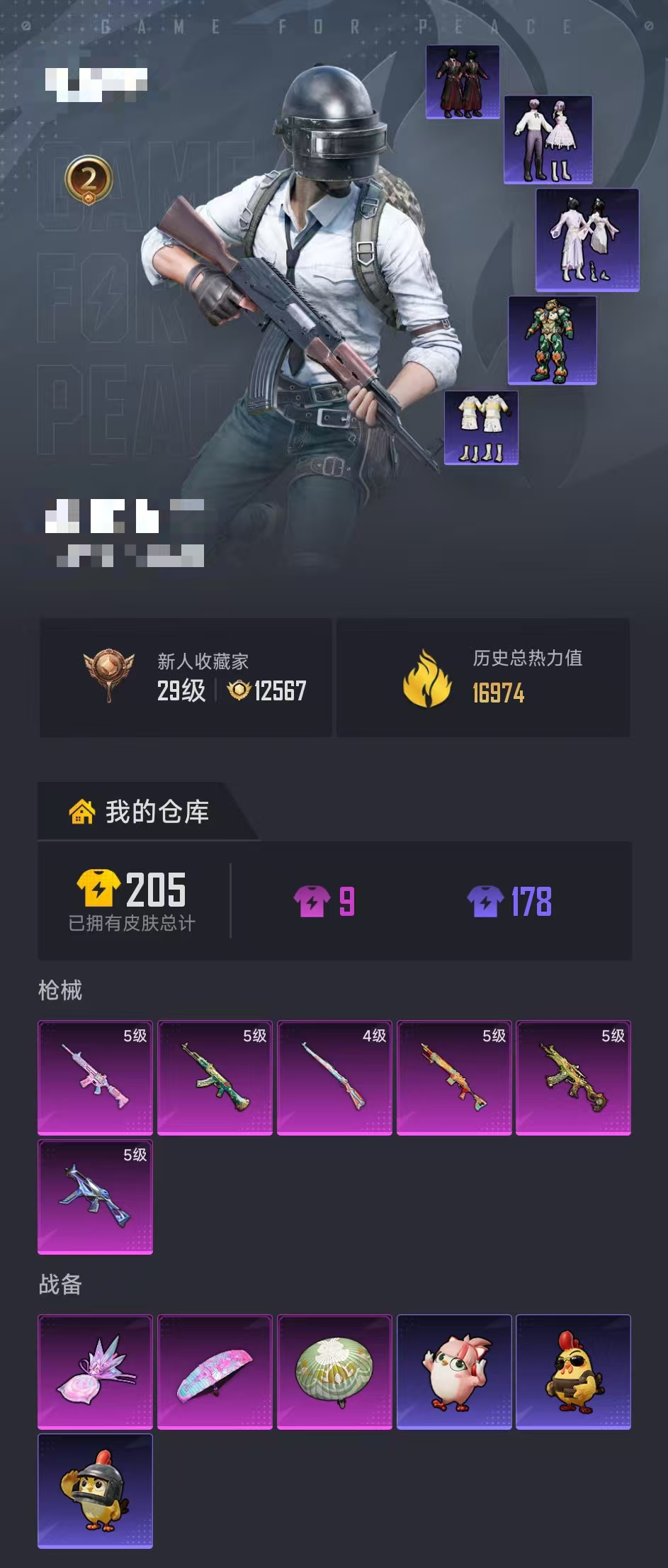 HPCMW4138173和平精英账号详情图24