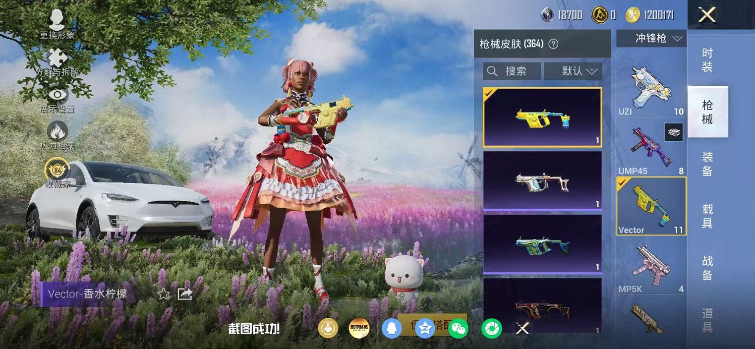 HPLX4159137和平精英账号详情图36