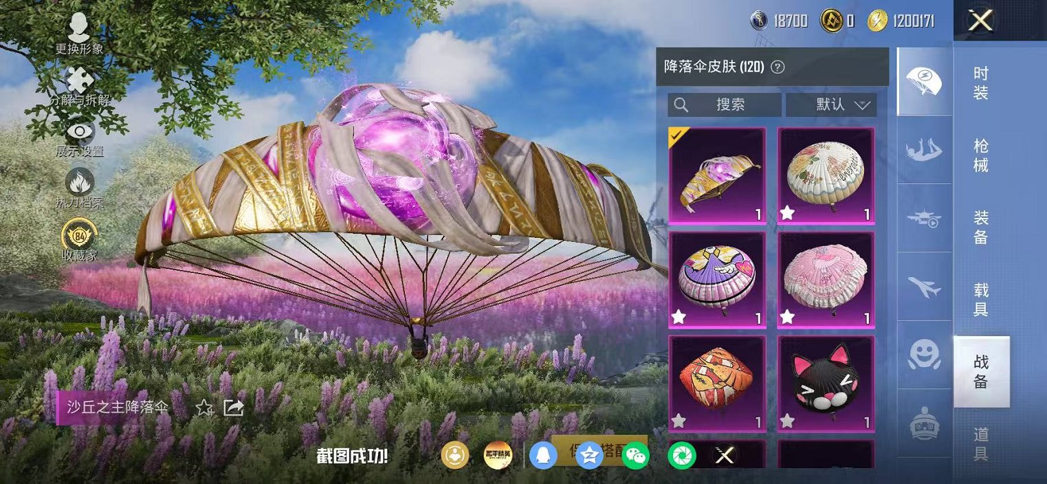 HPLX4159137和平精英账号详情图46