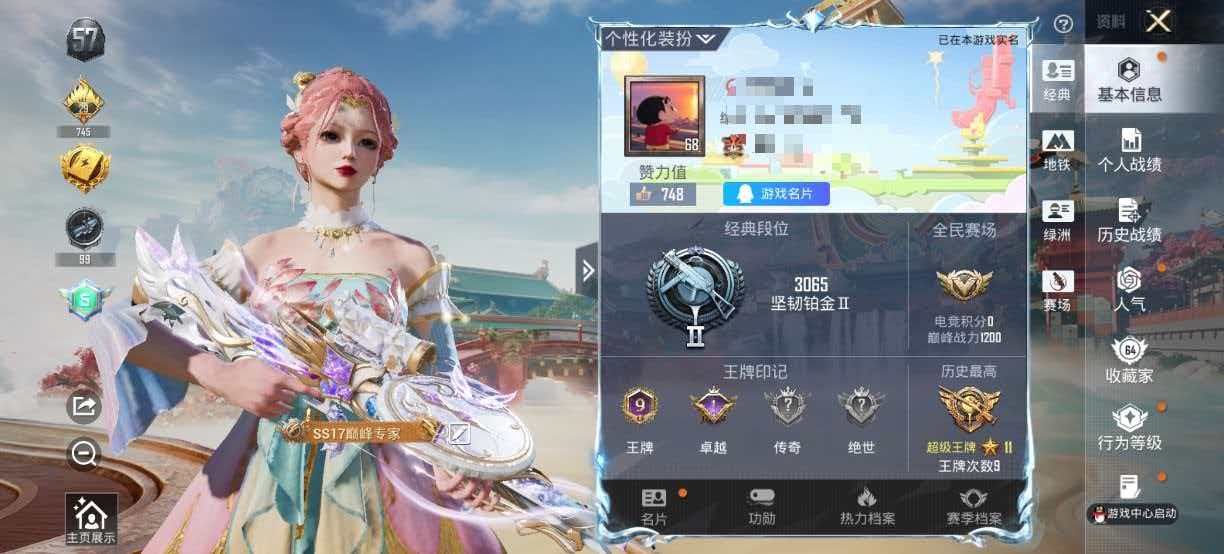 HPLX4176476和平精英账号详情图1