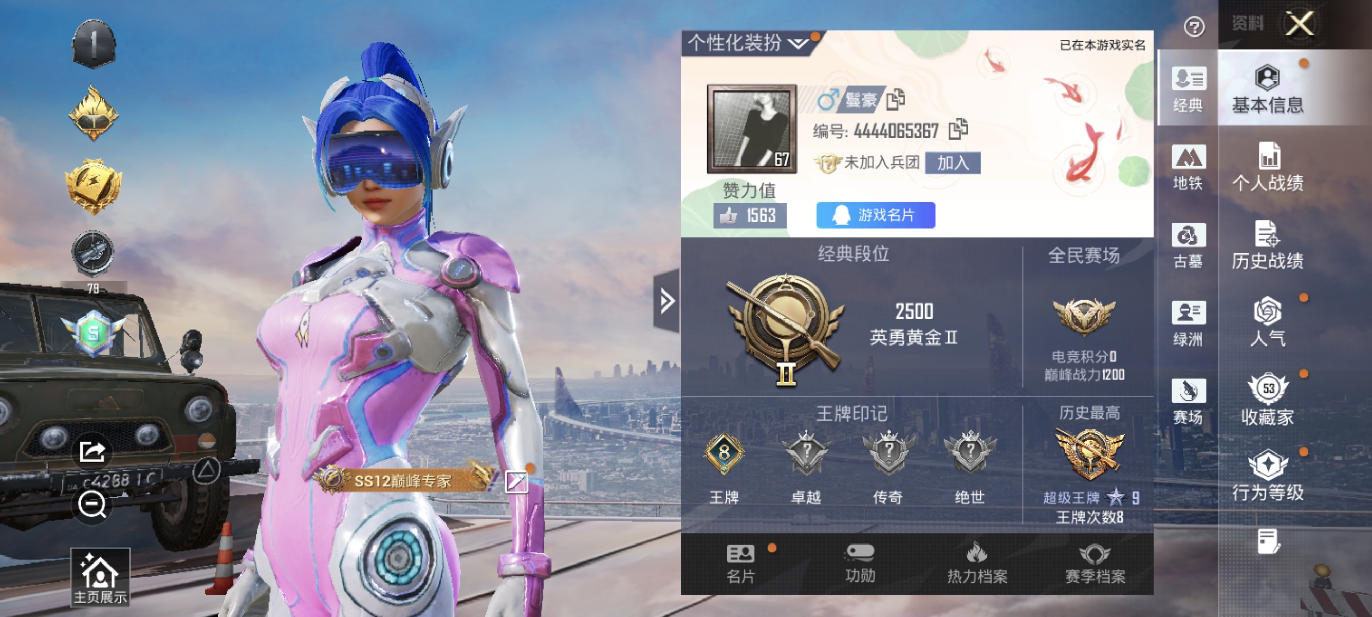 大图