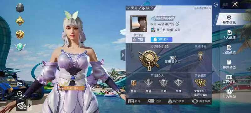 HPQM3251371和平精英账号详情图8 HPQM3251371和平精英账号详情图8