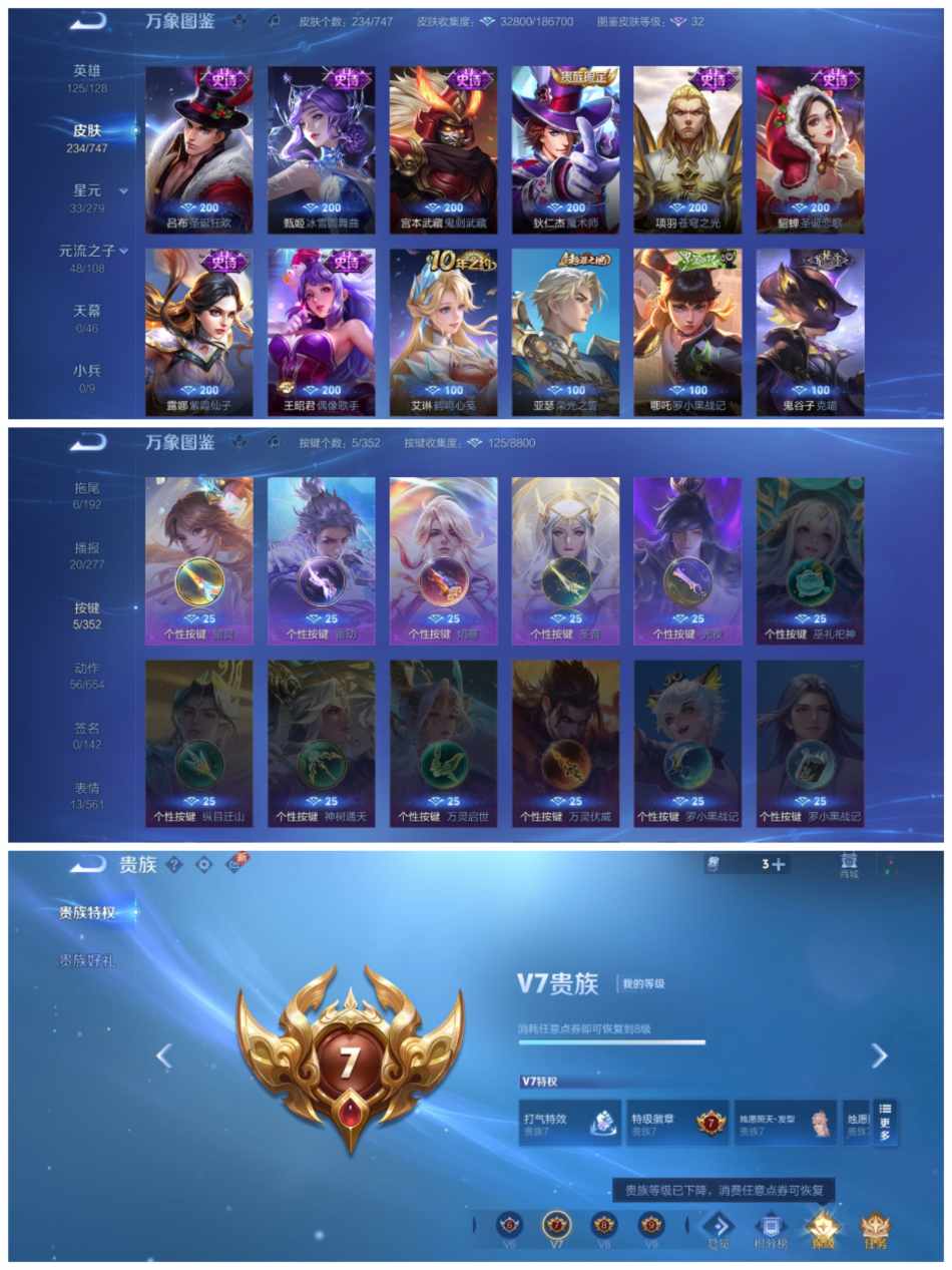 WZCMW3445364王者荣耀账号详情图5