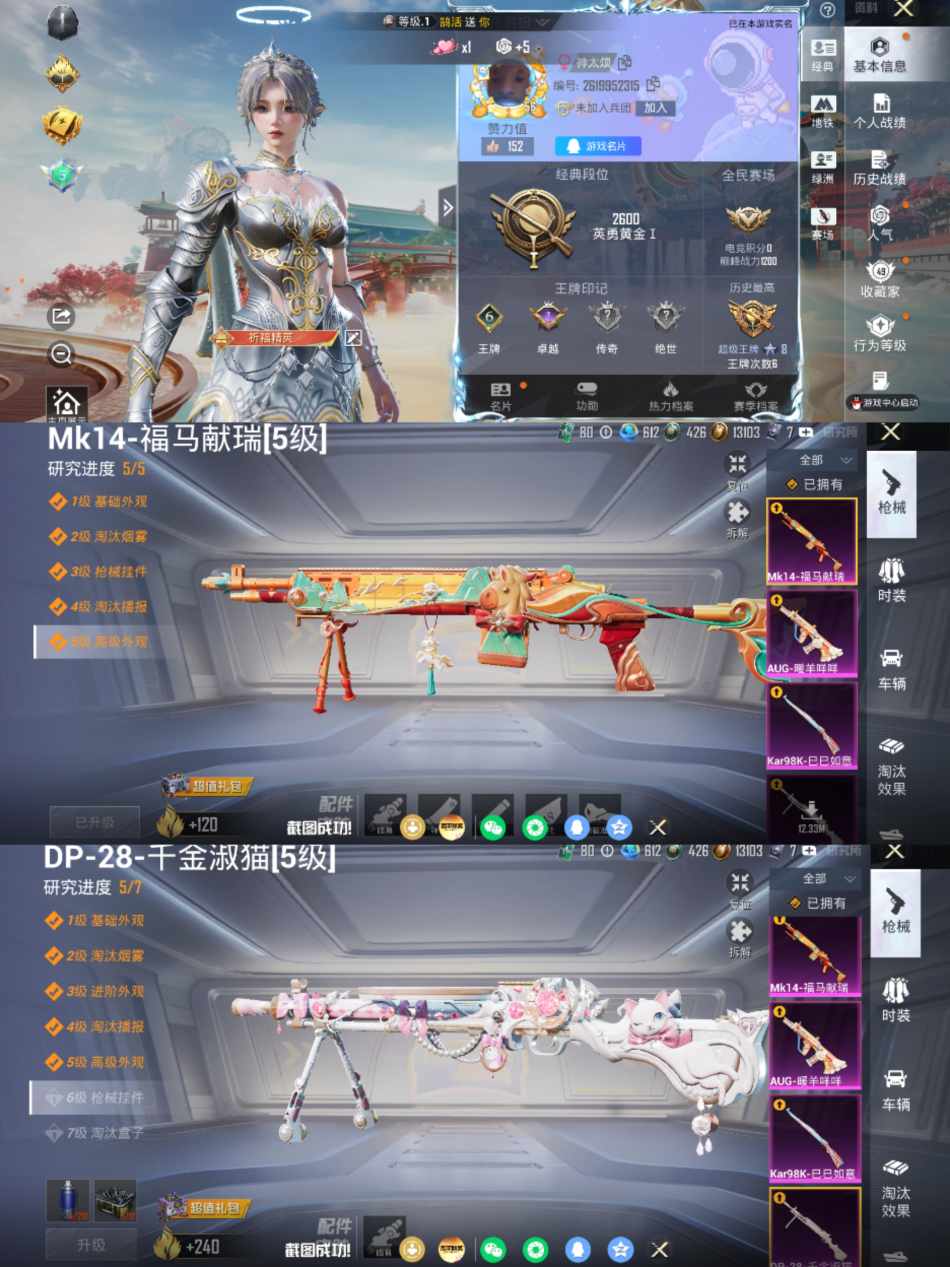 HPLX4176889和平精英账号详情图1