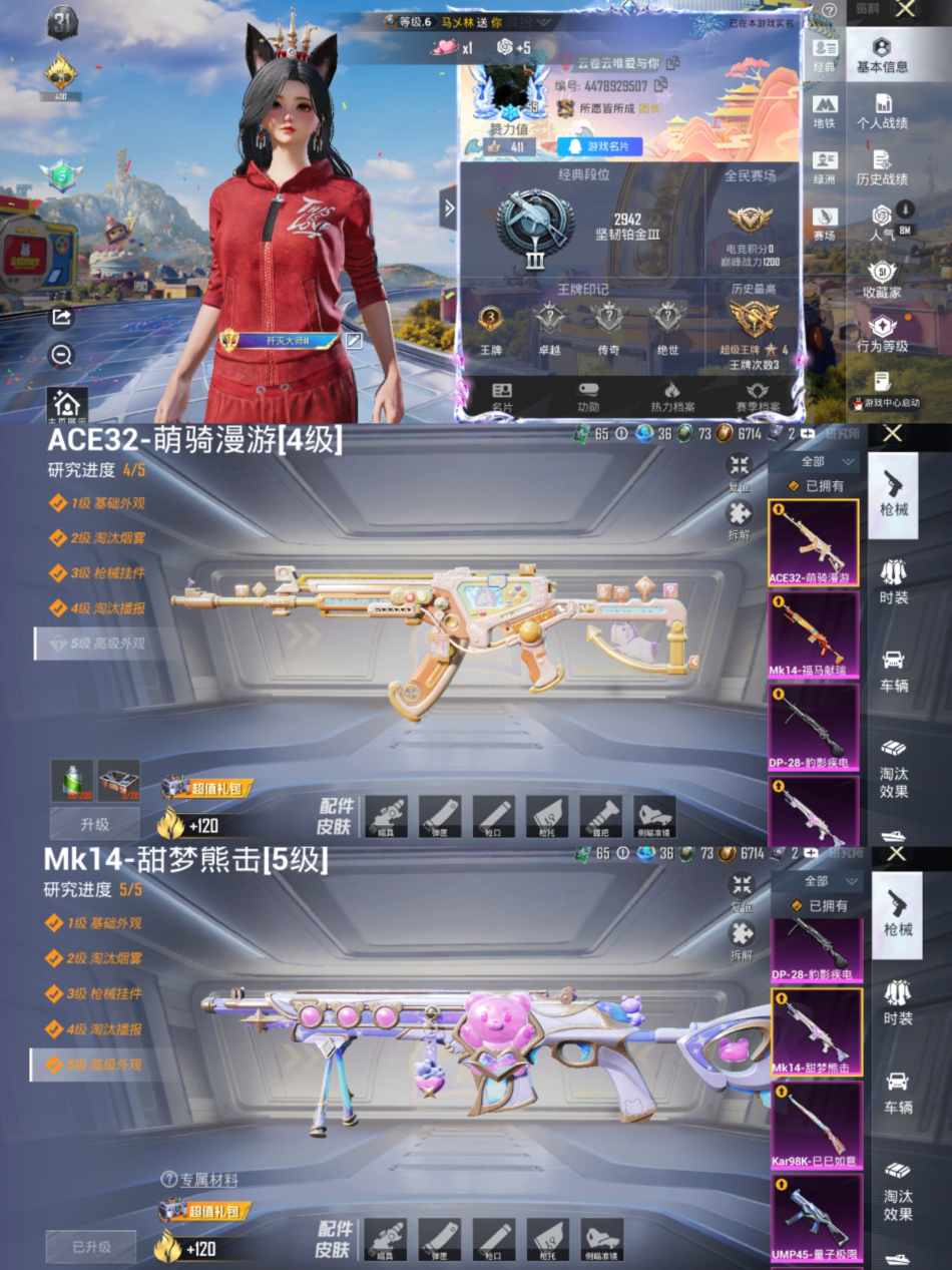 HPLX4179602和平精英账号详情图1